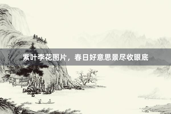 紫叶李花图片，春日好意思景尽收眼底